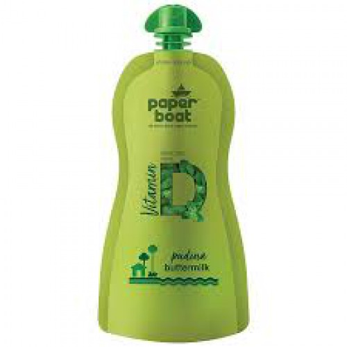 Paper Boat Pudina Buttermilk, 250 ml